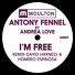 Antony Fennel feat. Andrea Love