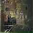 Gang Colours