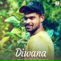 Ansari Mohsin
