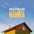 MULTIPASS