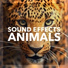 Sound Effect Studio