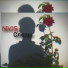 Nvis
