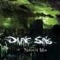 Divine Sins