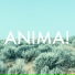 ANIMA!