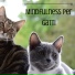 Chilloutfm.ru Harmonium