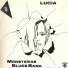 Mönsterås Bluesband
