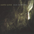 Aapo Ilves