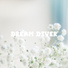 Dream Diver