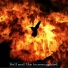 Hell & the Hummingbird