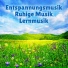 Entspannungsmusik, Ruhige Musik, Lernmusik