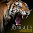Earth Tones (Jungles)