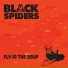 Black Spiders