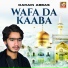 Darain Abbas