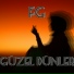 Gu zel Du nler