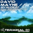 David Mayne