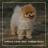 Relaxing Dog Chillout
