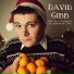 David Gibb
