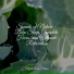 Shakuhachi Sakano, Rainfall, Master Meditação
