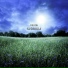 Fullesh