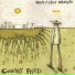 Country Fried