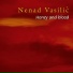 Nenad Vasilic