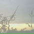 Electronic Sounds Of Nature