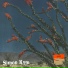 Simon Kym