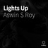 Aswin S Roy