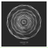 Kocleo