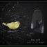 DRYADS