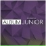 Junior