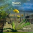 Danzi feat. Jahfreeka Soul