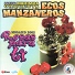 Lalo y Su Marimba Orquesta Ecos Manzaneros