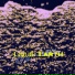Liquid Earth