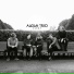 Audun Trio