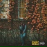 DGainz