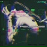NX-Trance