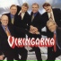 15 Vikingarna