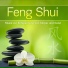 Die Feng Shui Meister