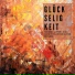 Herbert Lippert, Philharmonische Freunde