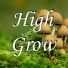 SmallShroom