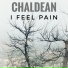 Chaldean