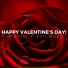 Happy Valentine's Day