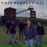 This Perfect Day