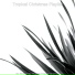 Tropical Christmas Playlist