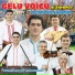Gelu Voicu şi Lăutarii