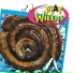 Plat Wieërs