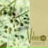 Velour 100 [http: muz-vk.ru]