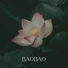 BaoBao