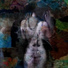 Rorang feat. Greg Osby, Bi Suhyun